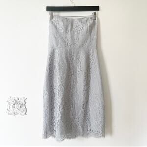 NWT J. Crew Silver Gray Lace Strapless Dress 8